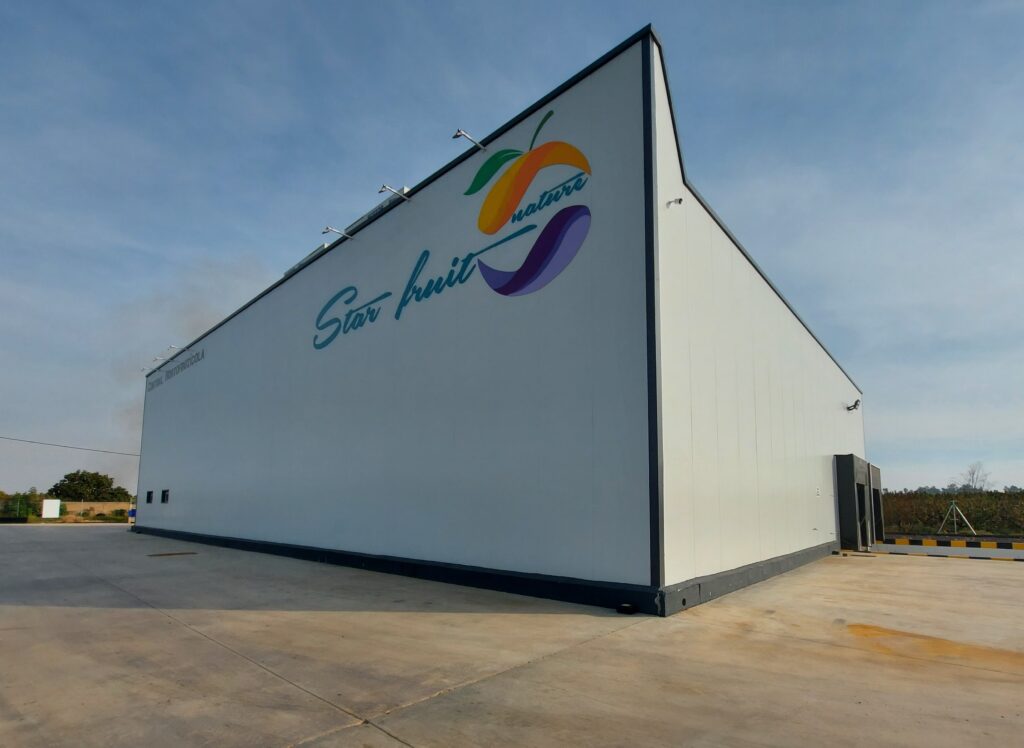 CENTRAL HORTOFRUTICOLA STARFRUIT NATURE 1024x748