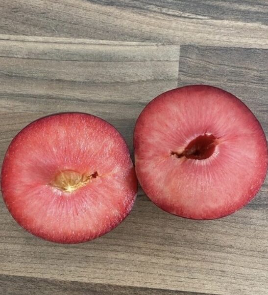 CIRUELA CARNE ROJA 547x600