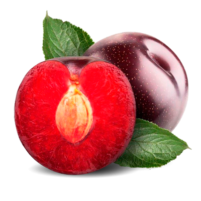 Ciruela red 1